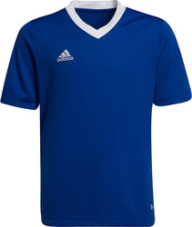 Koszulka dla dzieci adidas Entrada 22 Jsy niebieska HG3948
