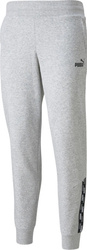 Spodnie damskie Puma Power Pants FL szare 589546 04