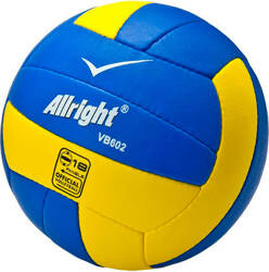 Piłka do siatkówki siatkowa Pro Train VB602 rozmiar 5