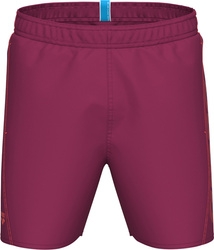 Męskie Szorty Fundamentals Arena Logo Boxer R  poppy red/patriot blue rozmiar S