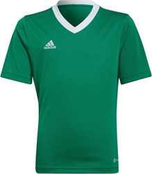 Koszulka dla dzieci adidas Entrada 22 Jersey zielona HI2126