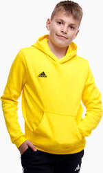 Bluza dla dzieci adidas Entrada 22 Hoody żółta HI2142