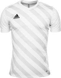 Koszulka dla dzieci adidas Entrada 22 Graphic Jersey biało-szara HF0120