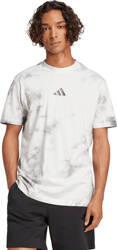 Koszulka męska adidas All Szn Wash Tee biało-szara IX1260