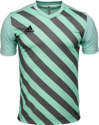 Koszulka męska adidas Entrada 22 Graphic Jersey miętowa HF0119