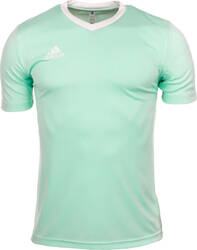 Koszulka męska adidas Entrada 22 Jersey miętowa HC5073