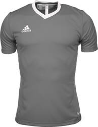 Koszulka męska adidas Entrada 22 Jersey szara