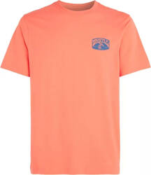 Męska koszulka z krótkim rękawem O'neill O'NEILL BEACH GRAPHIC T-SHIRT living coral rozmiar S