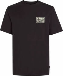 Męska koszulka z krótkim rękawem O'neill O'NEILL BEACH GRAPHIC T-SHIRT rozmiar L