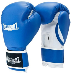 Rękawice bokserskie Power Gel 14 OZ niebieskie